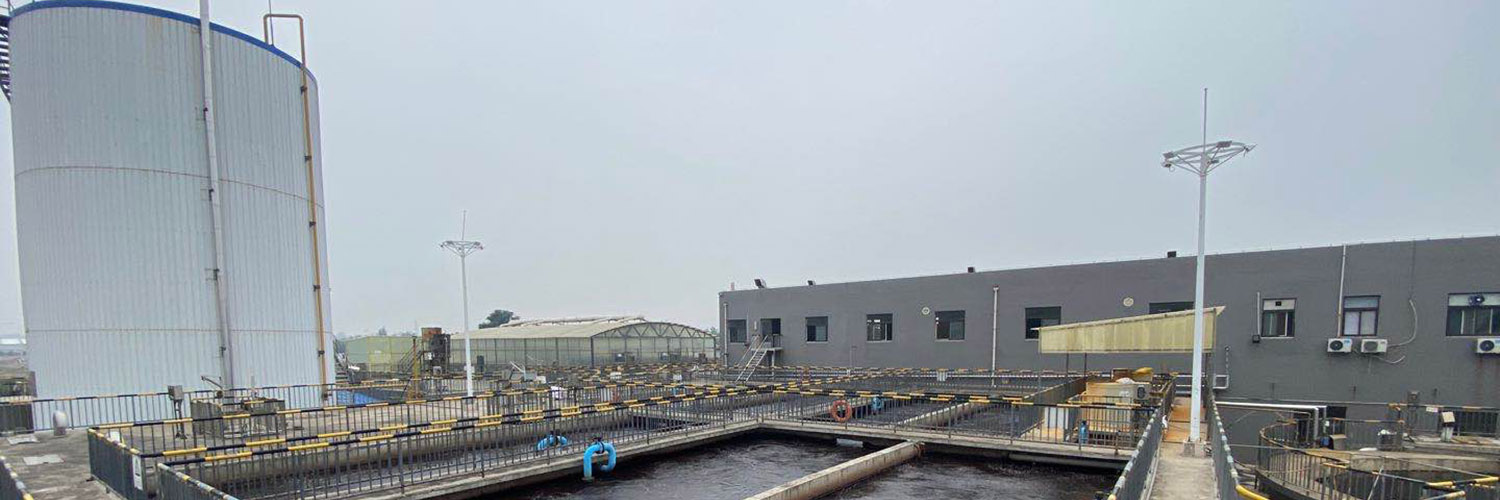 烟台2026年世界杯官网企业食品有限公司入选“国家绿色工厂”
