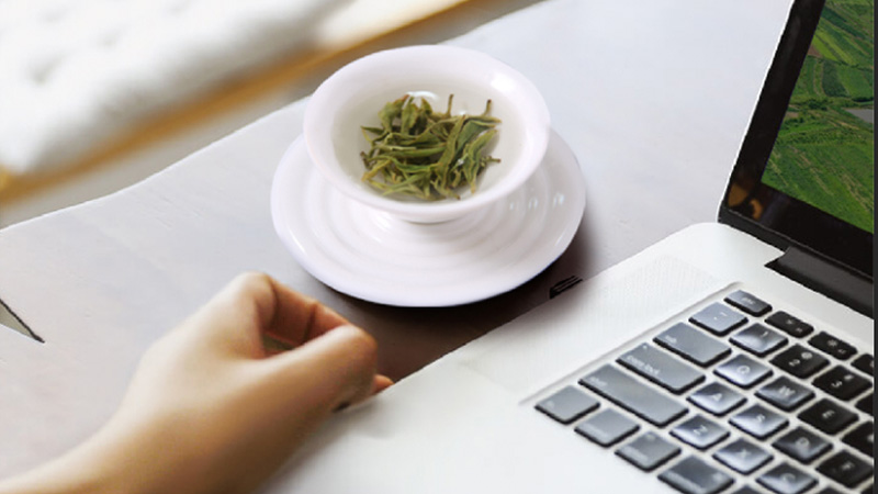 旭耕有机绿茶(雨前茶)